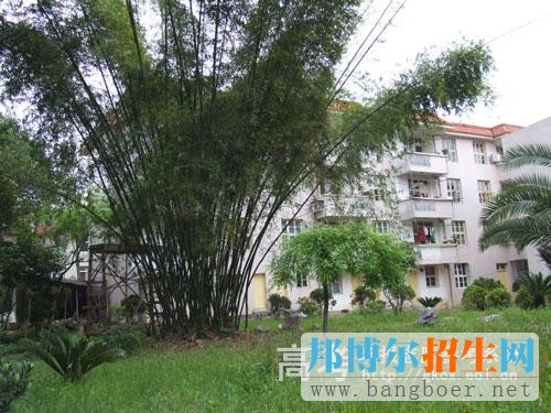 武夷山職業(yè)學院校園一角5797