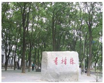 江西師范大學(xué)科學(xué)技術(shù)學(xué)院校園一角6270