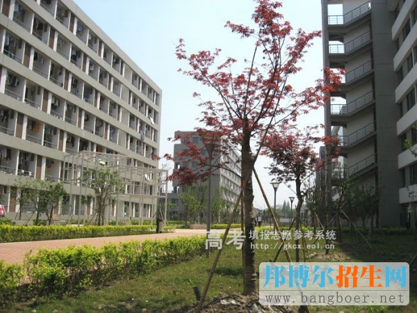 南京理工大學泰州科技學院校園一角1705