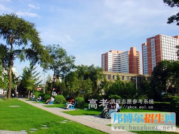 中國農(nóng)業(yè)大學(xué)校園一角376