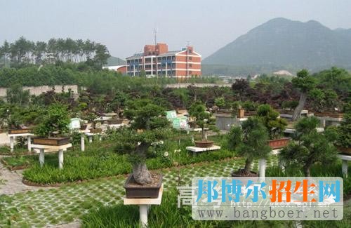 麗水職業(yè)技術學院校園一角4051