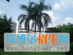 南華工商學院校園一角12901