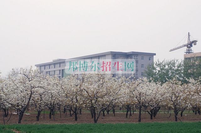 石家莊財(cái)經(jīng)職業(yè)學(xué)院是幾專(zhuān)
