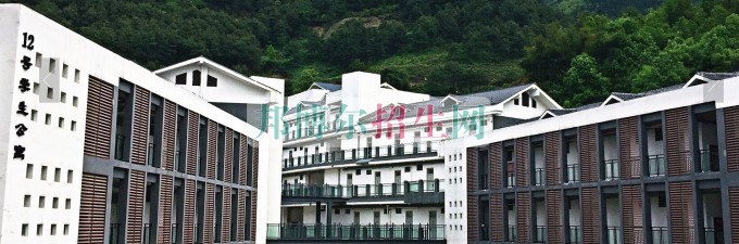 重慶大學(xué)城市科技學(xué)院招生辦聯(lián)系電話(huà)