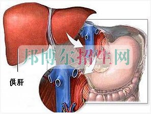 成都哪些大專學(xué)校的麻醉學(xué)好