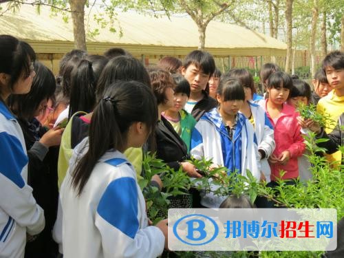 欒城職業(yè)技術(shù)教育中心2018年報名條件、招生對象