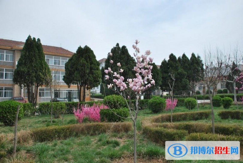 招遠職業(yè)中等專業(yè)學(xué)校2018年報名條件、招生對象
