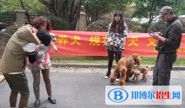六盤水中專學校有哪些專業(yè)比較好