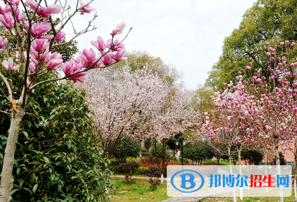 江西生物科技職業(yè)學院2019年單招錄取分數(shù)線