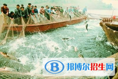 四川水產(chǎn)學(xué)校五年制大專地址