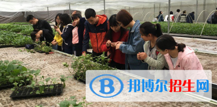 甘南畜牧學校網(wǎng)站網(wǎng)址  