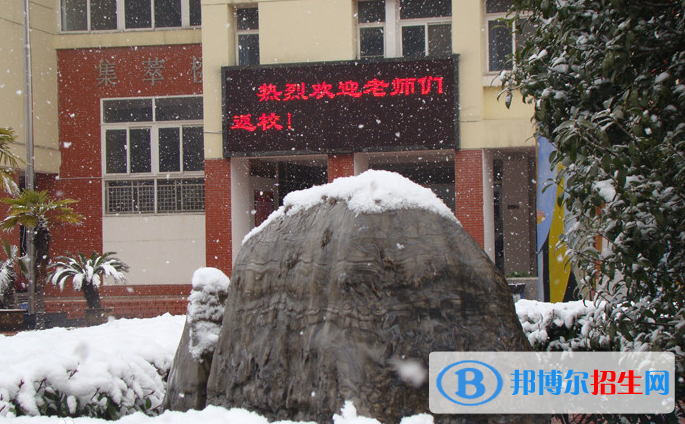 合肥世界外國語學(xué)校2020年學(xué)費(fèi)、收費(fèi)多少