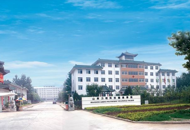 山東力明科技職業(yè)學院2020年有哪些專業(yè)