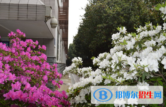 長沙麓山國際實驗學(xué)校初中部2020年招生辦聯(lián)系電話