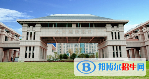 民辦合肥財(cái)經(jīng)職業(yè)學(xué)院2020年招生簡(jiǎn)章