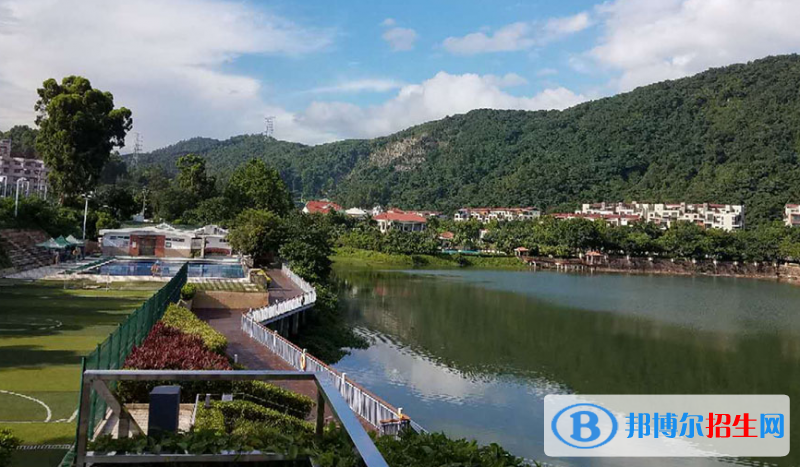 廣州譽(yù)德萊國際學(xué)校小學(xué)部2020年招生計劃