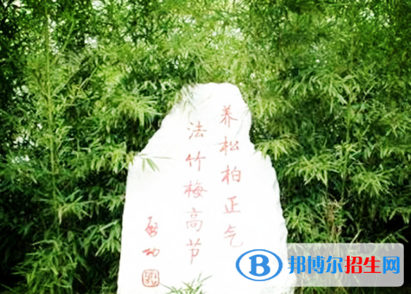 河北峰峰春光中學(xué)怎么樣、好不好