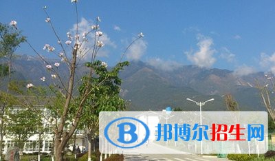 大理農林職業(yè)技術學院五年制大專2021年招生辦聯(lián)系電話