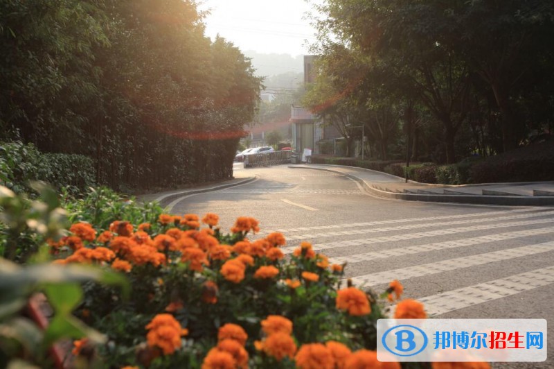 煙臺(tái)城鄉(xiāng)建設(shè)學(xué)校2021年招生錄取分?jǐn)?shù)線