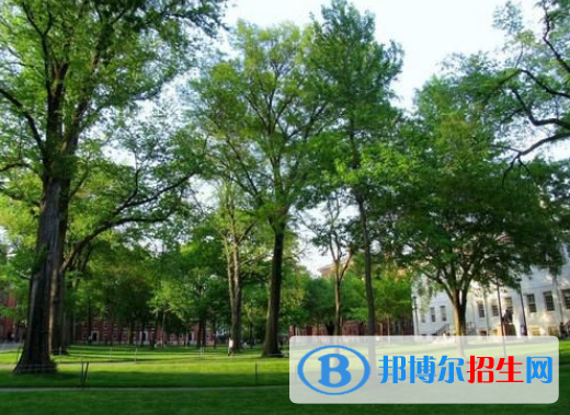 武強(qiáng)綜合職業(yè)技術(shù)教育中心2022年招生辦聯(lián)系電話(huà)