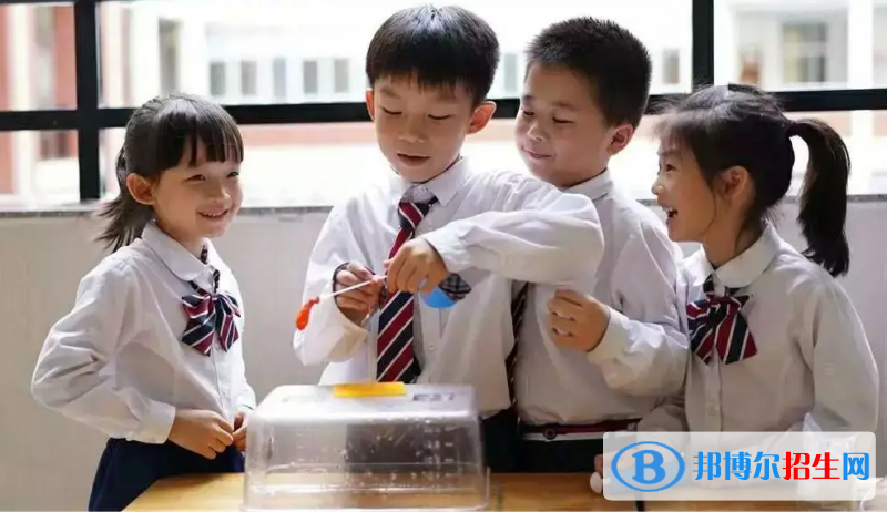 廣東碧桂園(IB國(guó)際)學(xué)校2022年課程體系