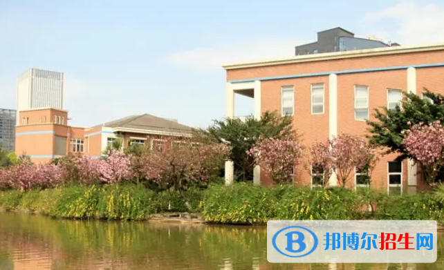 成都美視國(guó)際學(xué)校小學(xué)部2023年錄取分?jǐn)?shù)線