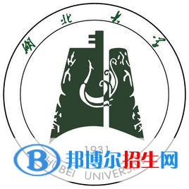 湖北大學(xué)藝術(shù)類專業(yè)有哪些？（藝術(shù)類專業(yè)）