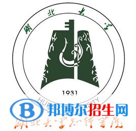 湖北大學知行學院藝術類專業(yè)有哪些？（藝術類專業(yè)）