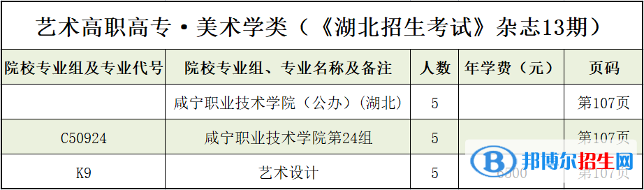 咸寧職業(yè)技術(shù)學(xué)院藝術(shù)類專業(yè)有哪些？