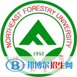 東北林業(yè)大學(xué)是211嗎？(附黑龍江211大學(xué)名單）?