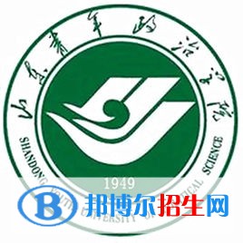 山東青年政治學(xué)院藝術(shù)類近幾年錄取分?jǐn)?shù)線匯總（2022-2018）