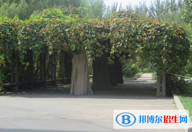 長(zhǎng)春十一高中2023年學(xué)費(fèi)、收費(fèi)多少 