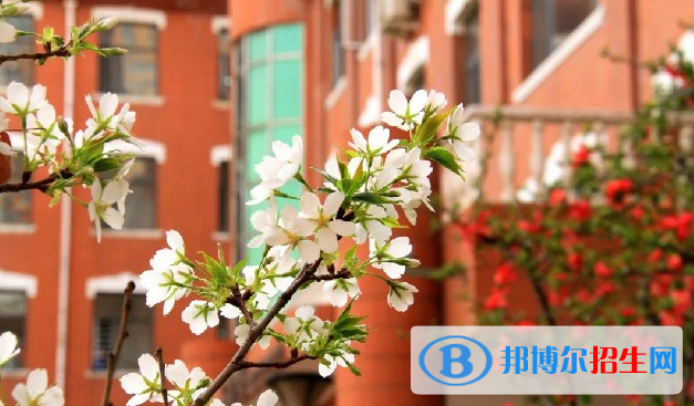 石家莊外國語學(xué)校2023年學(xué)費(fèi)、收費(fèi)多少