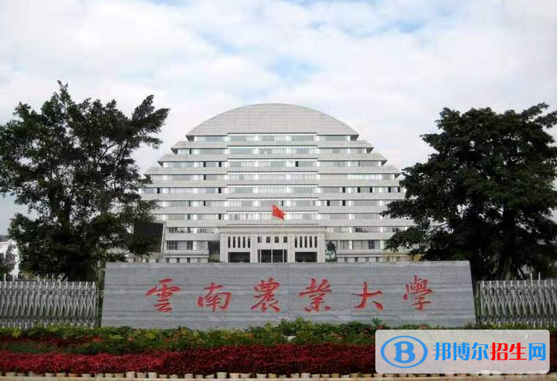 2023云南理科425分左右能上什么好大學(xué)