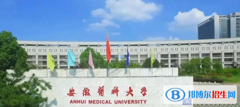 2023安徽理科530分左右能上什么好大學(xué)（本省大學(xué)+外省大學(xué)）