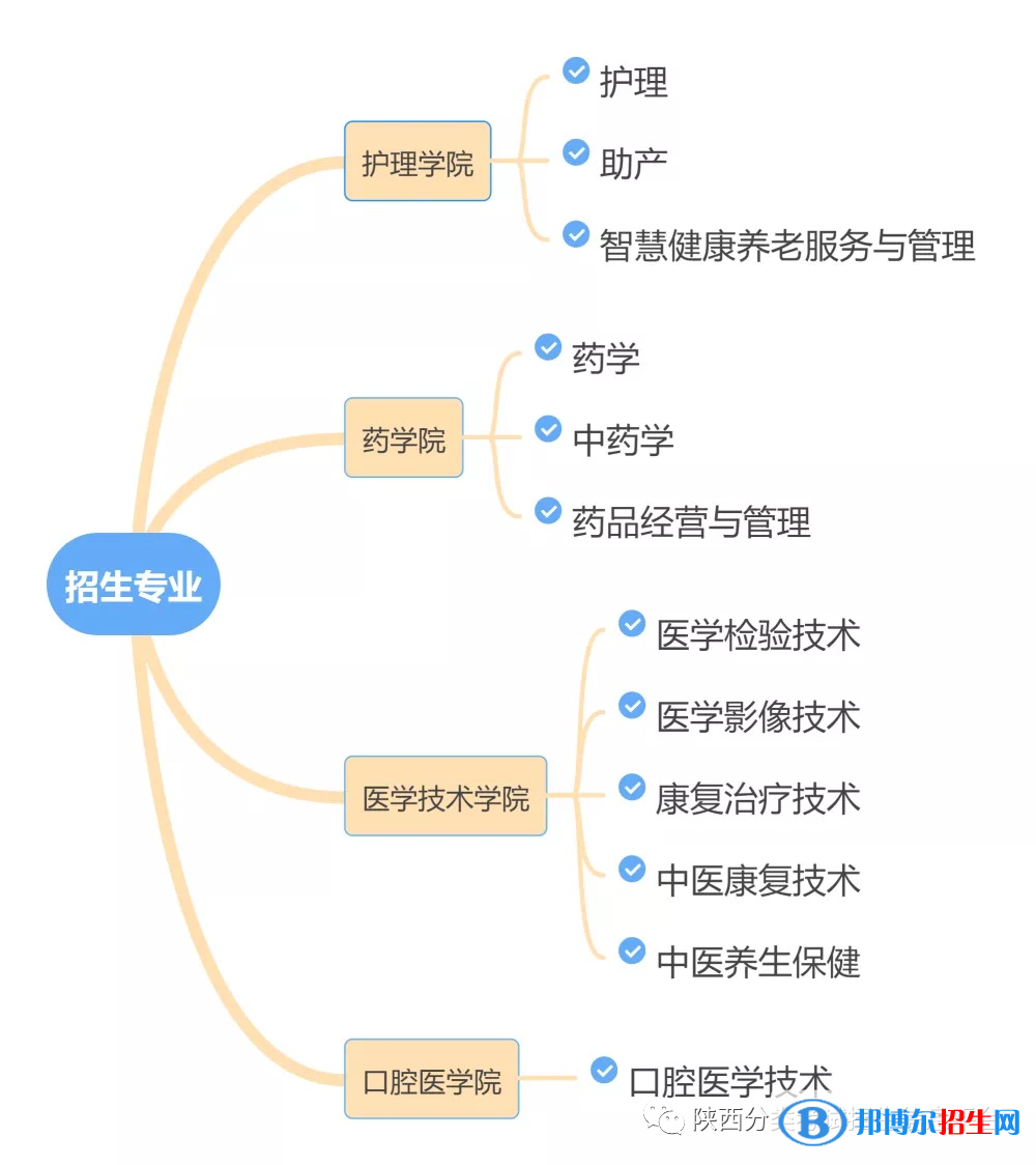 西安醫(yī)學(xué)高等?？茖W(xué)校2022分類考試招生專業(yè)有哪些？