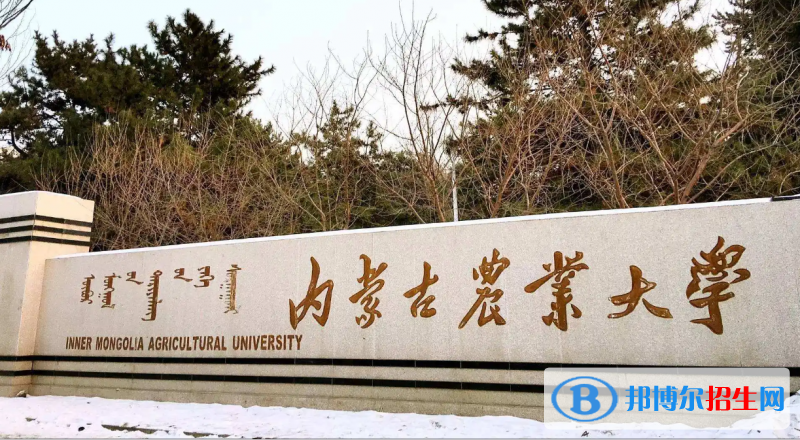 2023內(nèi)蒙古理科370分左右能上什么好大學（本省大學+外省大學）