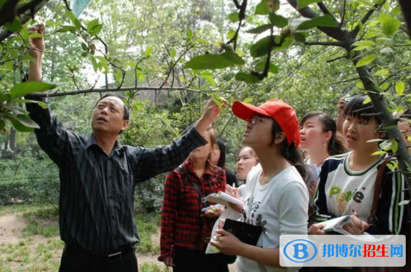 大學(xué)作物生產(chǎn)技術(shù)專業(yè)可以從事哪些工作？