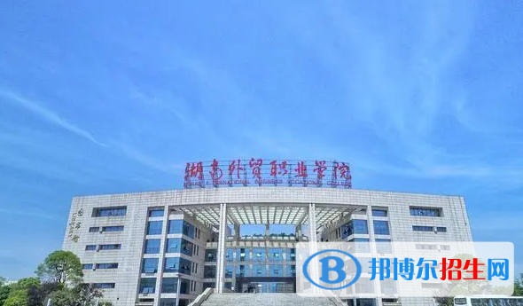 湖南單招空中乘務（安檢）專業(yè)2023年有哪些學校