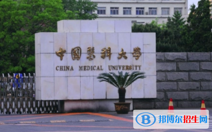 中國(guó)大學(xué)醫(yī)學(xué)影像學(xué)專業(yè)排名(2022應(yīng)用型)