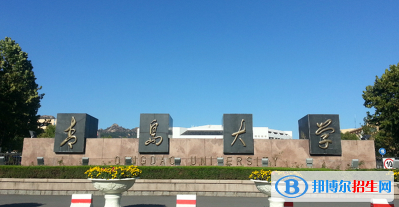 青島大學(xué)有哪些中外合作辦學(xué)專業(yè)？（附名單）