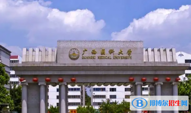 廣西醫(yī)科大學有哪些中外合作辦學專業(yè)？（附名單）