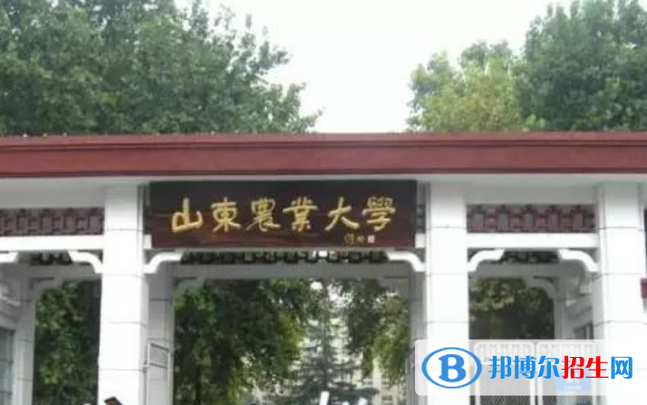 泰安市好的大學(xué)有哪些？（泰安市高校2023最新排名）