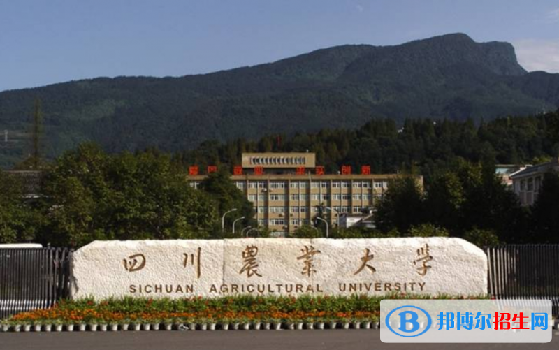 四川農(nóng)業(yè)大學(xué)是幾本？是985和211嗎？
