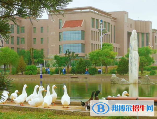 2023甘肅十大?？圃盒Ｅ琶挥[表