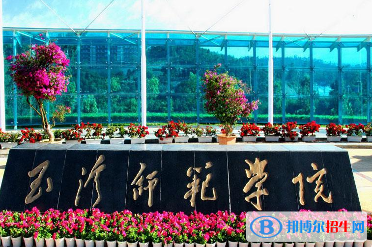 2023玉溪師范學院最新排名多少（近三年排名）