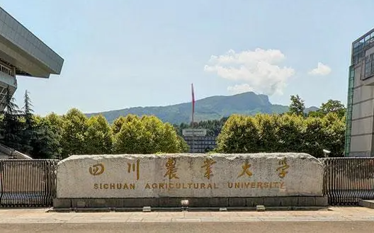 哈爾濱體育學院和四川農(nóng)業(yè)大學怎么選？哪個好？附全國排名和分數(shù)線