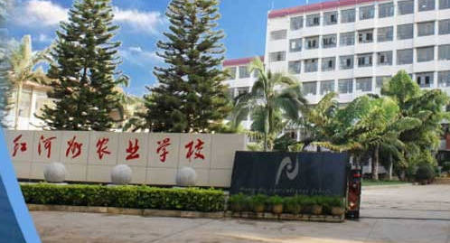 2023紅河公辦護理學校有哪些 紅河公辦護理學校名單一覽表