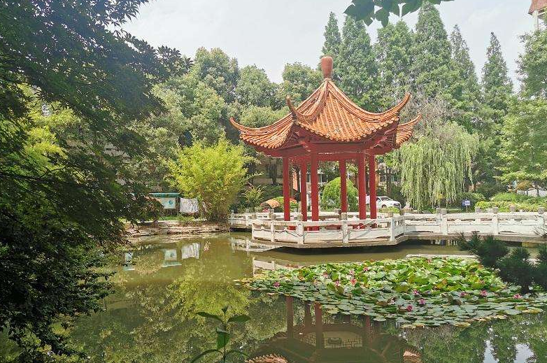 南京市秦淮中學(xué)地址，乘車路線