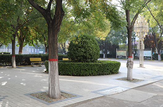 長治技師學(xué)院地址，乘車路線